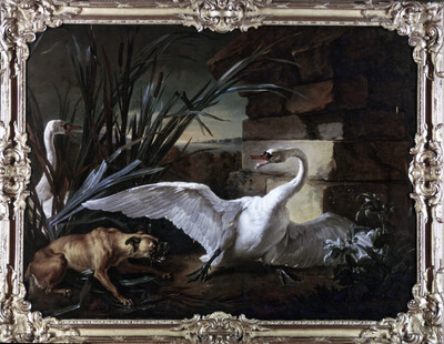 Dog and swans