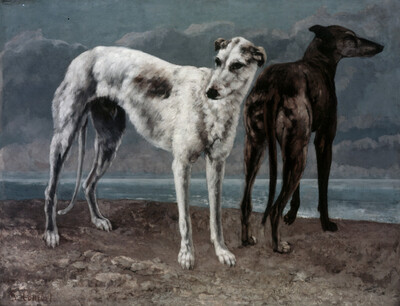 The Greyhounds of the Comte de Choiseul