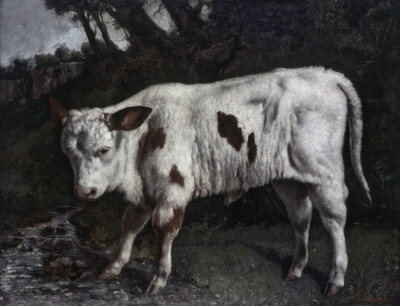 The Calf