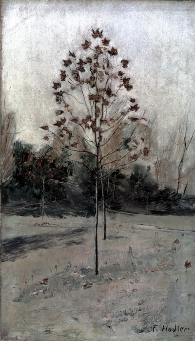 Autumn trees