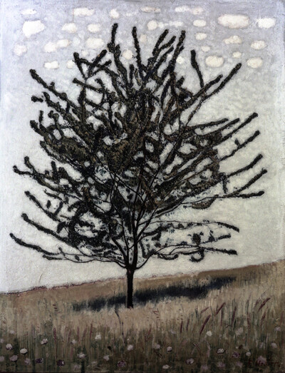 Cherry trees