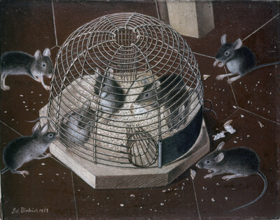 Mice trap