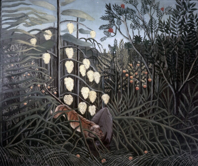 Tropischer Urwald