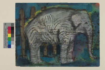 Elefant