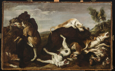Het hunting on bears