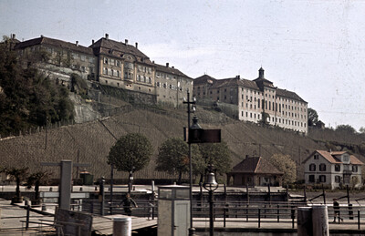 Reithof & Stallhof