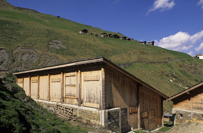 Geissenstall Alp Parvansauls