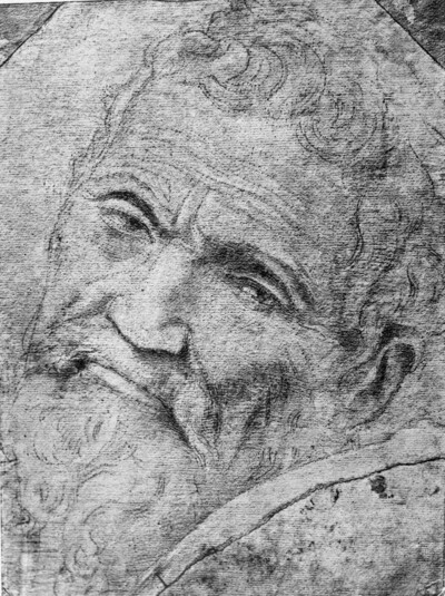 Cardboard with the head of Michelangelo Buonarotti