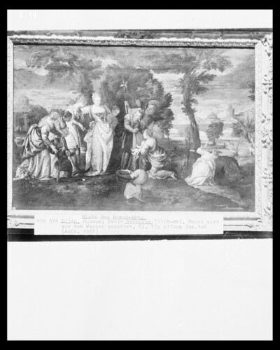 Discovery of the Moses boy