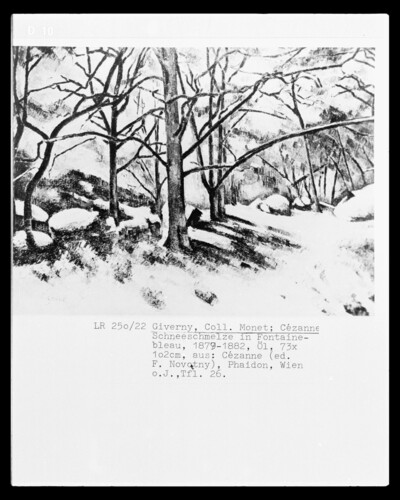 Snowmelt in Fontainebleau