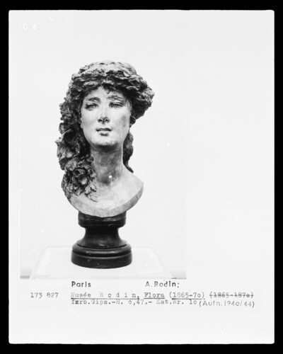Flora