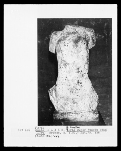 Torso of a young woman