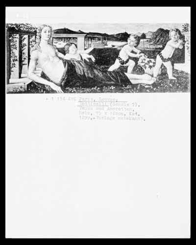 Venus and three amos