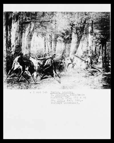 The Rehbock & Spring