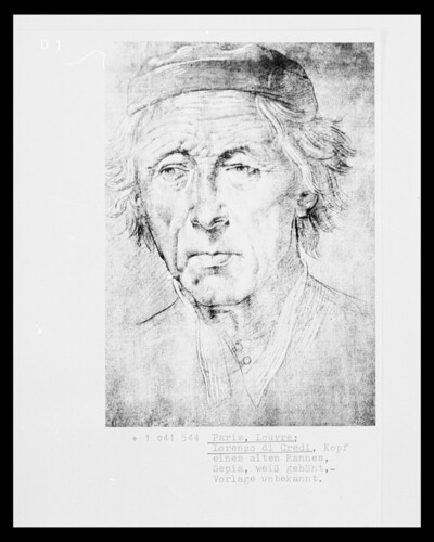 Drawing: Head of an Old, front
