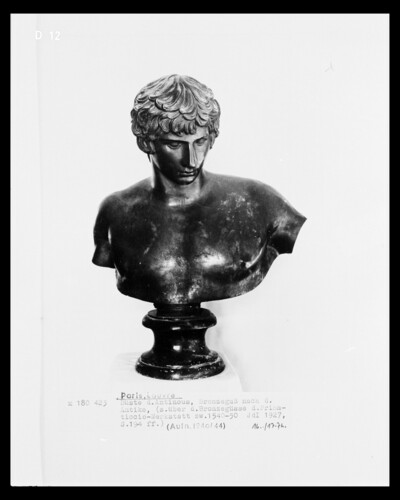 Bust of the Antinous after an antique model