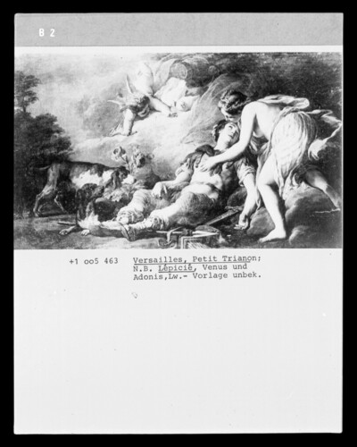 Venus und Adonis