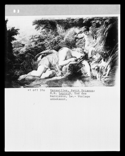 Death of the narcissus