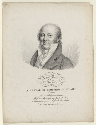 Bildnis des Geoffroy Sr. Hilaire