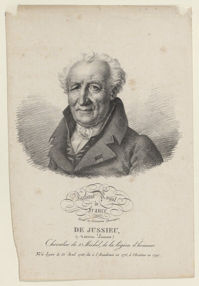 Bildnis des Antoine Laurent de Jussieu