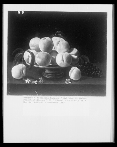 Fruit Still Life