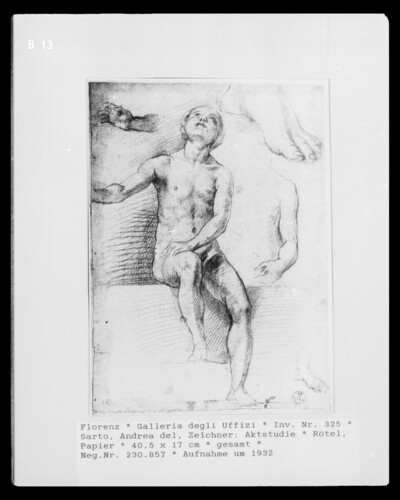 Nude Study