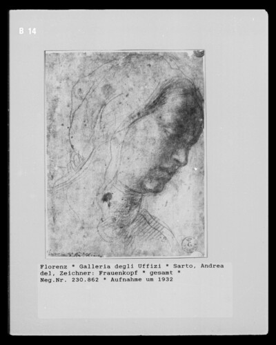Women’s head