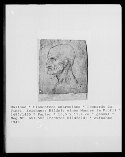 Portrait of a Man in Profile