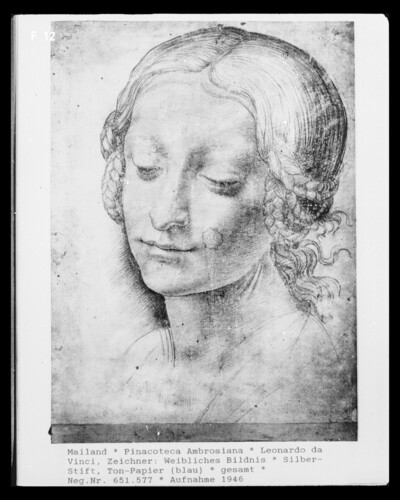 Female Portrait