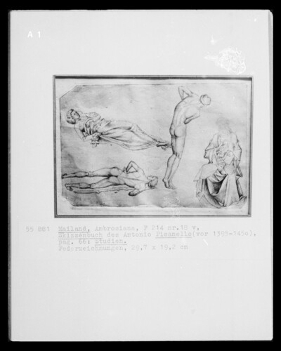 Page from the sketchbook of Antonio Pisanello, page 66