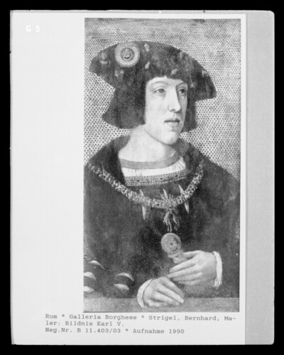 Portrait of Charles V