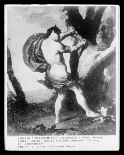 Apollo shaking Marsyas