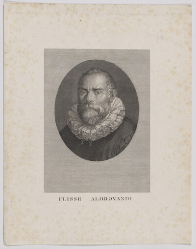 Bildnis des Ulisse Aldrovandi