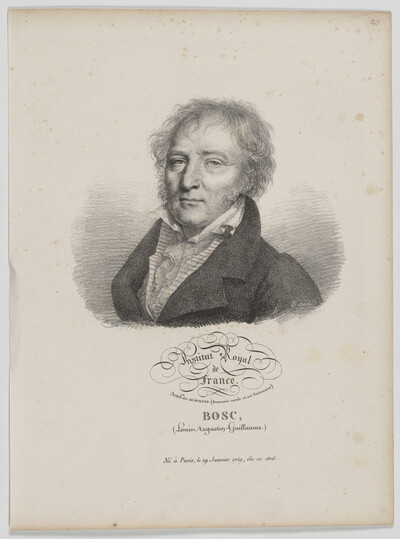 Bildnis des Louis Augustin Guillaume Bosc