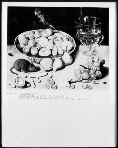 Still Life