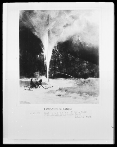 Lightning strike in the forest