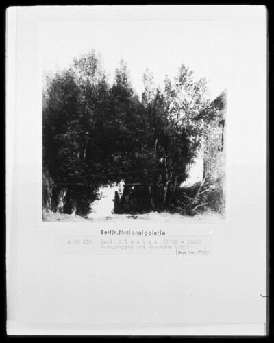 Tree groups and house corner