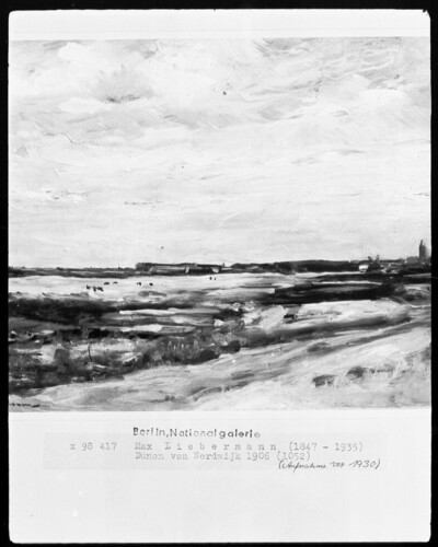 Landschaft bei Noordwijk / Dünen von Nordwijk