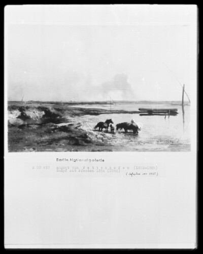 Horse swamp/swamp with horses