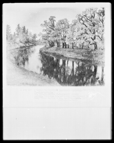 River landscape