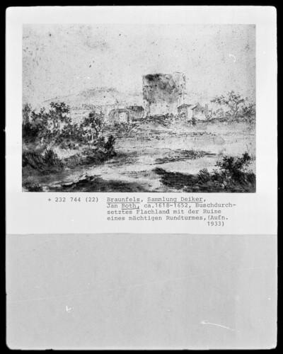 Busch-enforced lowland with the ruins of a powerful round tower