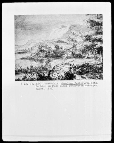 Bays at the foot of a wooded mountain range