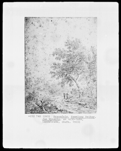 Country road with two hikers under tall trees