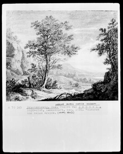 Covered landscape with large trees in the foreground