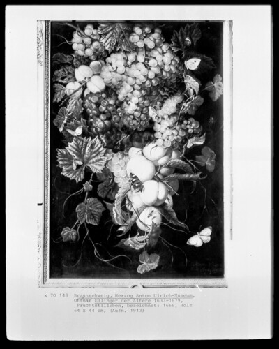 Fruit Still Life