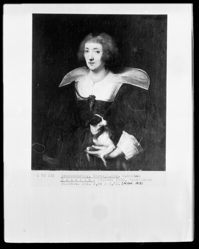Female Portrait