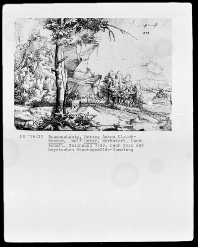 Landscape with large tree
