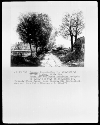 Tree alley near a town