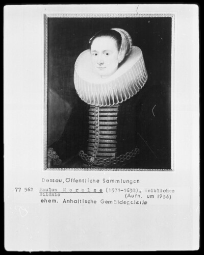 Female Portrait