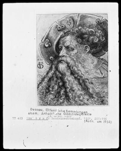 Head of a bearded man of war